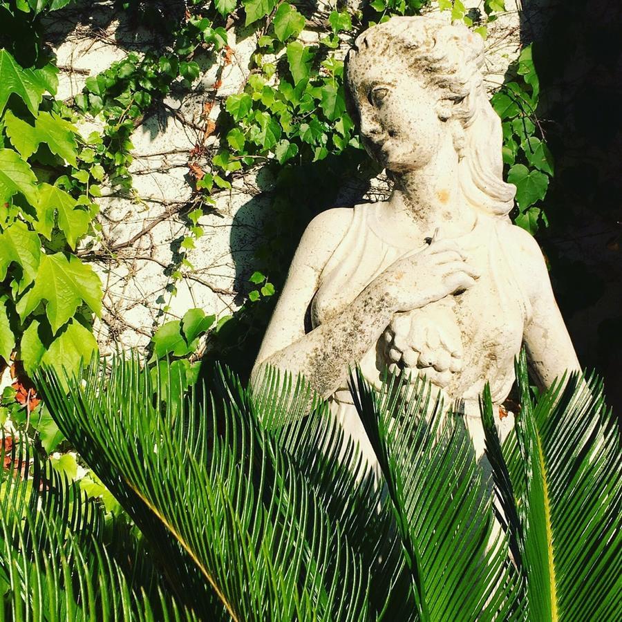 Foglie D' Acqua Bed & Breakfast Bisceglie Bagian luar foto